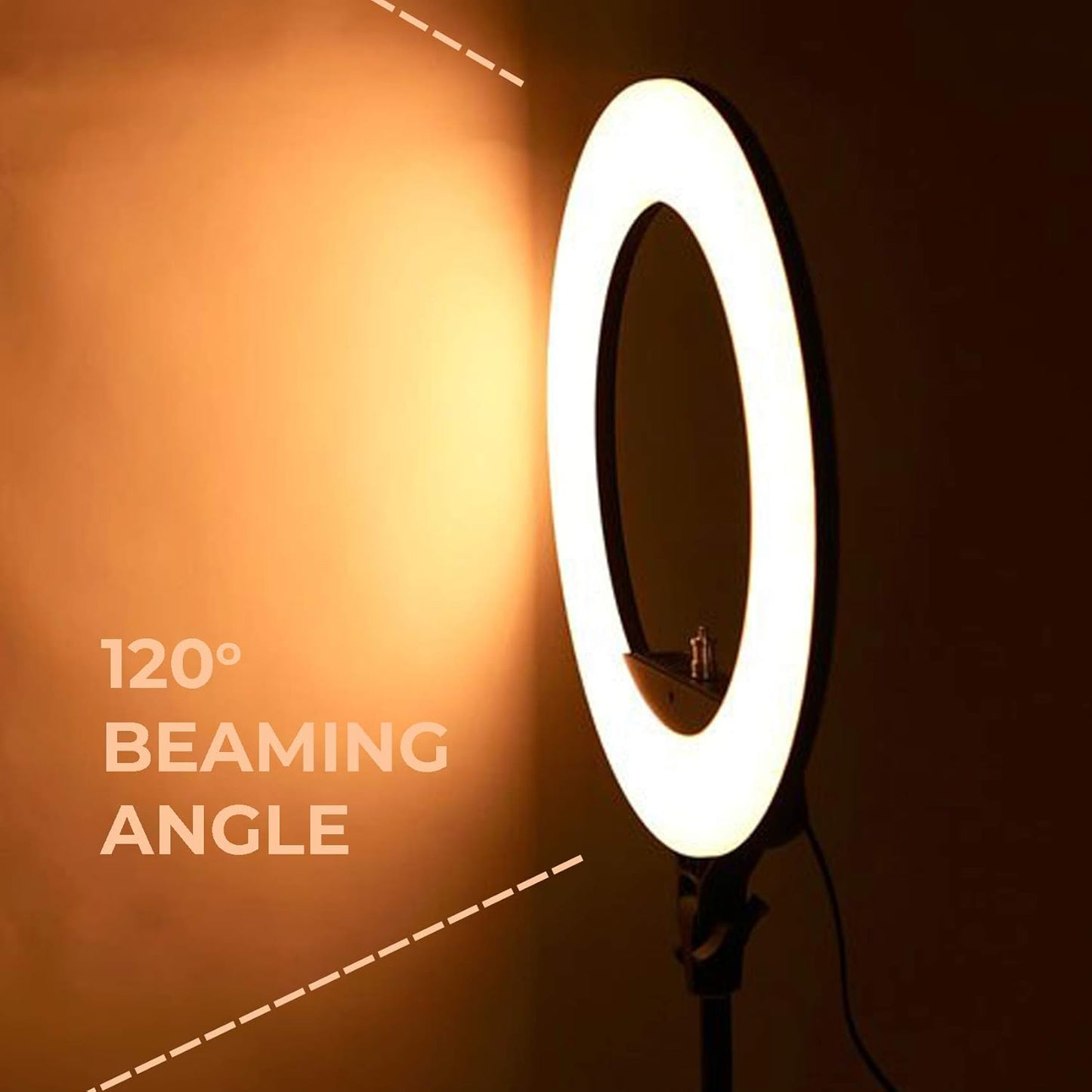 Ring Light | 10 Inches | Portable